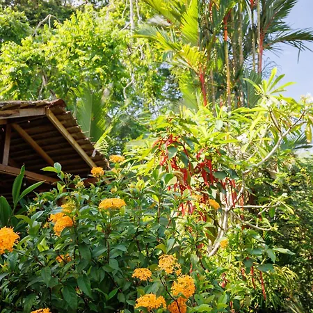 Bungalows Ache Cahuita Exterior photo