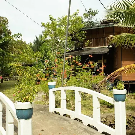 Bungalows Ache Cahuita Exterior photo