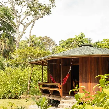 Bungalows Ache Cahuita Exterior photo