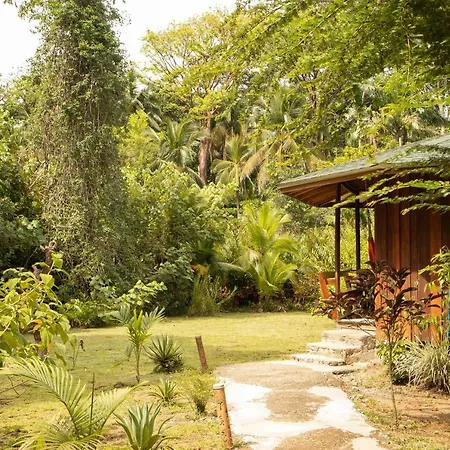 Bungalows Ache Cahuita Exterior photo